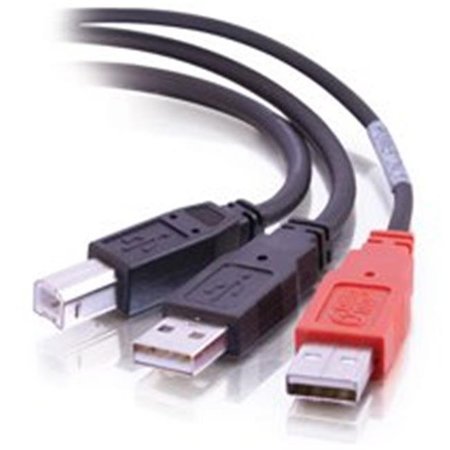 FASTTRACK 6ft USB 2.0 One B Male to Two A Male Y-Cable FA56970